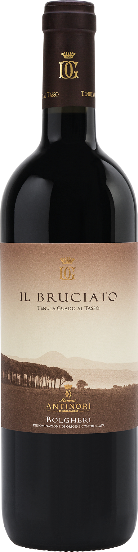 Antinori 'll Bruciato Bolgheri DOC, Guado al Tasso, Toskana