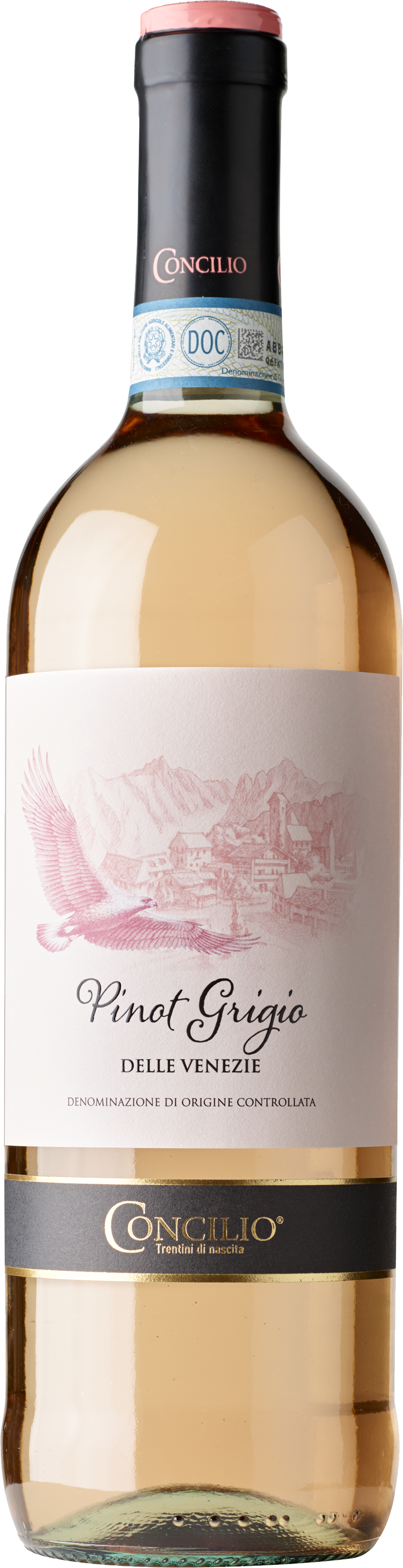 Concilio Pinot Rose delle Venezie DOC, Italien 